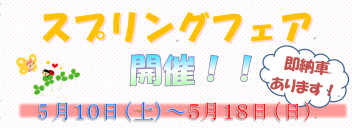 南津山店限定！スプリングフェア開催します